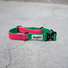 Collar The Rocket