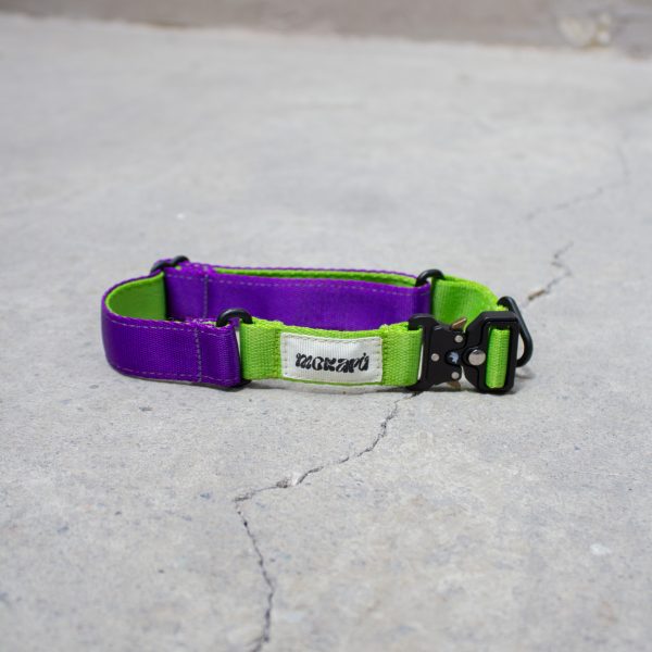 Collar The Buzz - Imagen 2