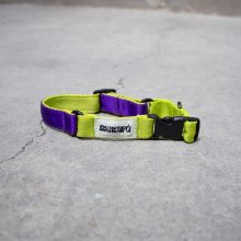 Collar The Buzz