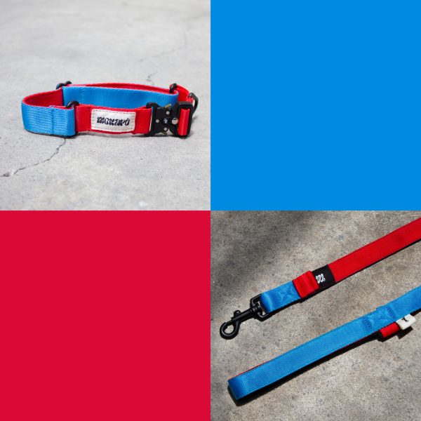 Combo The Hero Correa + Collar - Imagen 2