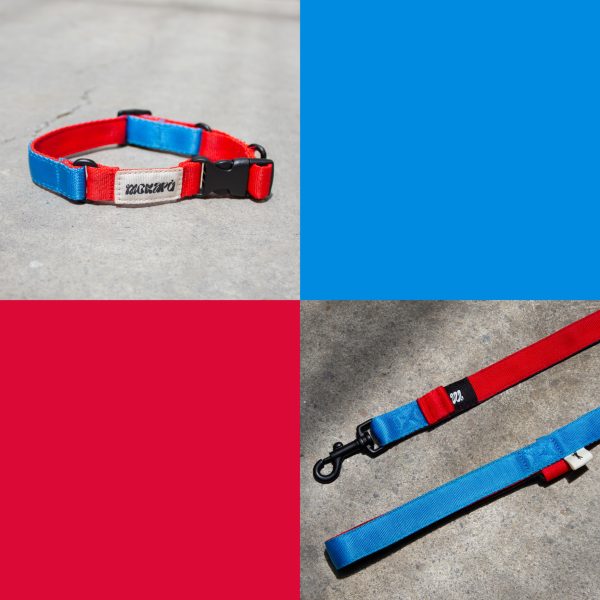 Combo The Hero Correa + Collar