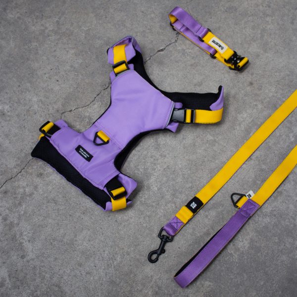 Combo The Gang Pechera + Correa + Collar - Imagen 2