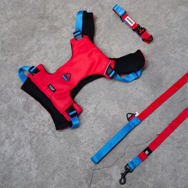 Combo The Hero Pechera + Correa + Collar - Imagen 2