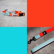 Combo The Stone Correa + Collar