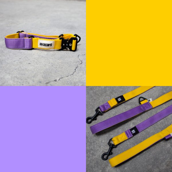 Combo The Gang Correa + Collar - Imagen 2