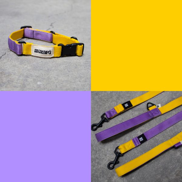 Combo The Gang Correa + Collar