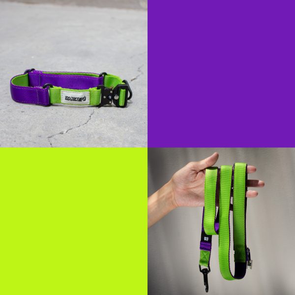 Combo The Buzz Correa + Collar - Imagen 2